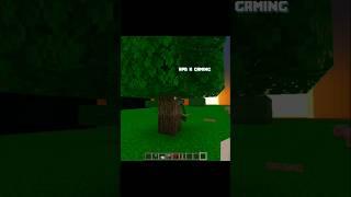 minecraft viral Tiktok hacks || #minecraft #shorts #viralshort