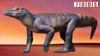 New Species of Prehistoric Land Croc Had Crushing Teeth | 7 Days of Science