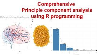 Master Principal Component Analysis (PCA) in R: Simplifying Complex Datasets