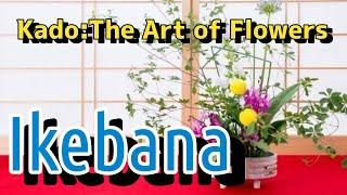 "Kado Ikebana: The Art of Flowers - Pursuing Harmony with Nature and Aesthetic Sensibility"