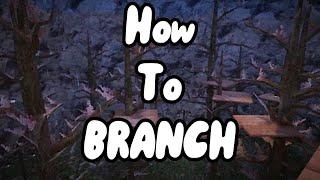 The Ultimate Branching Guide (how to branch like a pro)