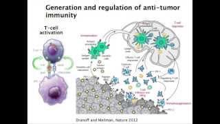 Immunotherapy - PD-1 and Beyond - Melanoma Education Symposium, Patrick Ott MD PhD