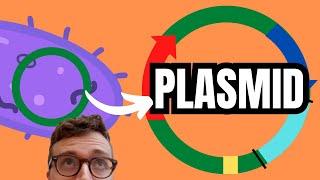 PLASMIDS EXPLAINED