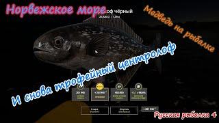 И снова трофейный центролоф!!! #рр4 #норвежскоеморе #русскаярыбалка4 #медведьнарыбалке