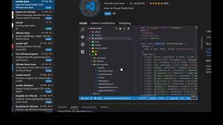 How to add icons to your vscode project