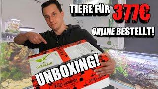 Online Bestellung von @garnelio mit 68 Tieren für über 377€ ist da!