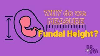 Why measure Fundal Height?