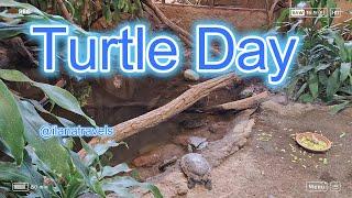 Turtle Day at Zoo Eberswalde in Germany