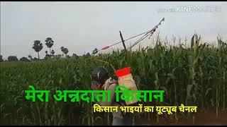 मक्का में  स्प्रे करने का जुगाड़। मेरा अन्नदाता किसान। mera annadata kisan