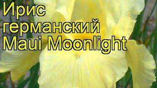 Ирис германский Мауи Мунлайт. Краткий обзор, описание характеристик iris germanica Maui Moonlight