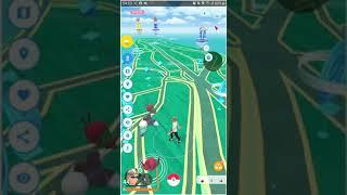 Shinycheck 100% sure using Polygon App (Shinycheck 100% asegurado usando Polygon) Pokémon GO