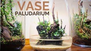 Understanding the care requirements of a Vase Paludarium