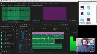 How to Use Track Controls in Premiere Pro