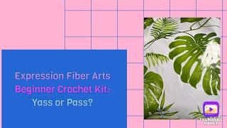 The Expression Fiber Arts Beginner Crochet Kit - Yass or Pass? #expressionfiberarts #crochet #review