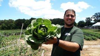 Holy CSA! Thera Farms and The Sisters of St Josephs Organic Options