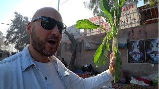 Morning Vegetable Market Tour 