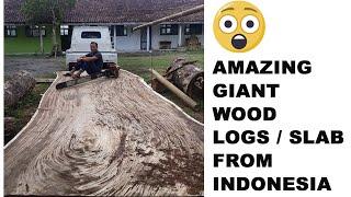 Amazing indonesia exotic wood logs hardwood and timber slab wood / sawmill lumber process / export