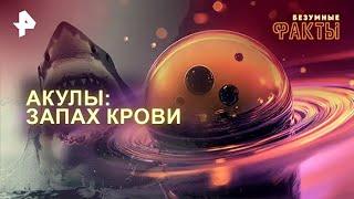 Акулы:  запах крови — Безумные факты (11.12.2024) выпуск 8