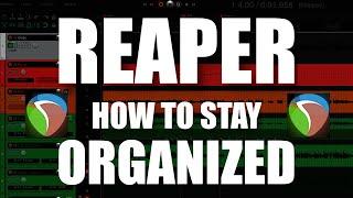 VITAL ways to Keep Your Project Folders and Files Organized in REAPER