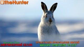  theHunter Classic  Рубрика: Помощь новичкам  Snowshoe Hare missions ℘⓶  американский беляк 