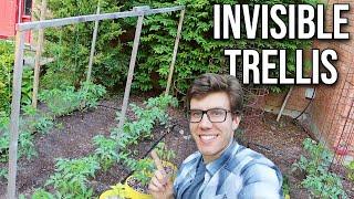 Hack Your Garden With This Epic DIY Invisible Trellis!