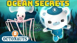 ​@Octonauts -   Ocean Secrets| Compilation  | Underwater Sea Education