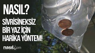 SİVRİSİNEKLERDEN KURTULMAK İÇİN PRATİK ÇÖZÜM: NAYLON POŞET! #sivrisinek #poşet #su #para