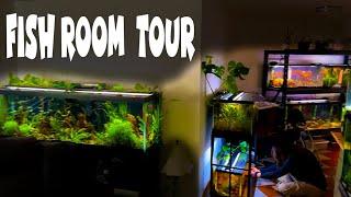 Planted Tank Paradise: A Fish Room Tour of Planted Tanks, Wild Discus, Puffers and Cichlids!