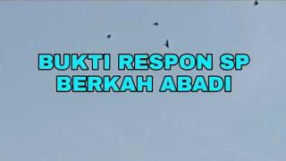 BUKTI RESPON SP BERKAH ABADI