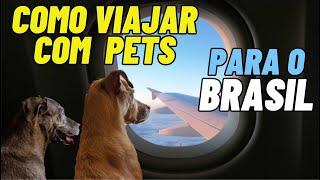 Como viajar com cães e gatos de Portugal para o Brasil