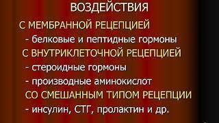 Лекция "Патология эндокринной системы. Часть I."