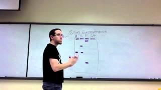 Lab Review - Analyzing Gel Electrophoresis Results (Unit 12 Biotechnology)