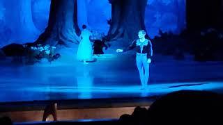 Giselle, Nikita Dolgushin version, NOVAT