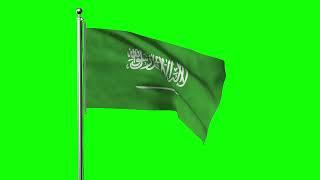 Green screen Footage | Saudi Arabia Waving Flag Green Screen Animation | Royalty-Free