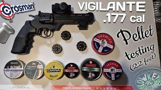 Crosman Vigilante CO2 Pistol: Pellet Testing with Optics (JSB, H&N, Diana, Gamo & More) - Part 2/2