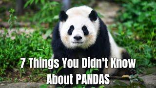 7 Things You Didn't Know About PANDAS