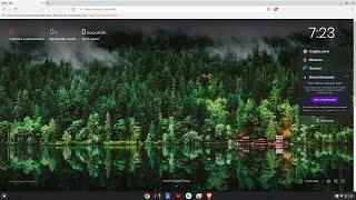 How to install the Brave Browser on a Chromebook in 2021