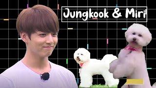 Compilation of Jungkook and Miri