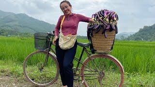 Buy a bicycle to make going to the market less strenuous, stack vegetables, and build a farm