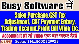 GST Adjustment In Busy Software|| GST Tax Summary || GST Tax Payment Post Entry In Busy Software