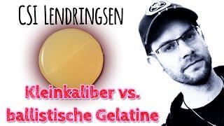 Kleinkaliber vs. ballistische Gelatine - CSI Lendringsen