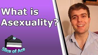 What is Asexuality? | Aspec 101