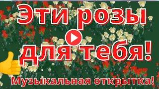 Розы. Все цветы для тебя. Музыкальная открытка...