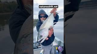 Vertical Jigging : Point Wilson Dart : Chinook Puget Sound : Washington  #fishing #boat