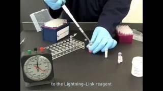 Lightning-Link® Antibody, Protein and Peptide Labeling Kits