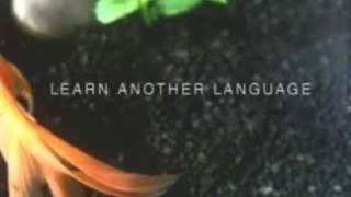 Avista Language School Commercial - Fish and Cat