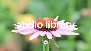 Clover 3 - Vibe Mountain | No Copyright Music YouTube - Free Audio Library