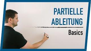 Partielle Ableitung Basics | Mathe by Daniel Jung