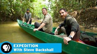 A Journey to Borneo | Ep 5: Borneo - Dark Shadow | Expedition with Steve Backshall | PBS