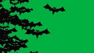 free Halloween green screen transition!